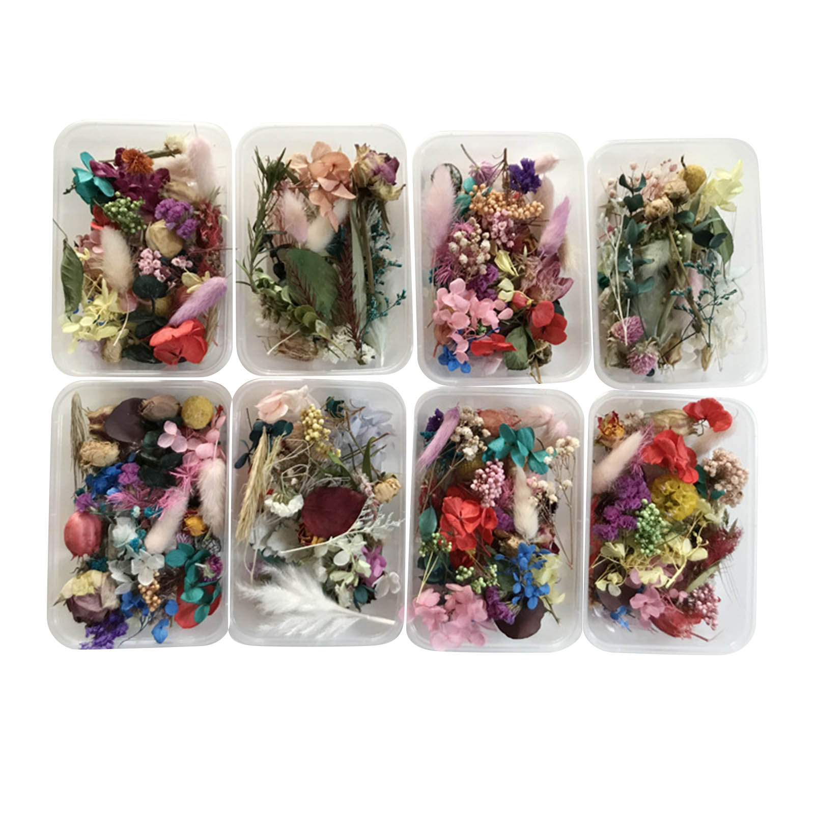 Natural Dried Flower Kit Press – обзор и цена Potpourri Dried Flower