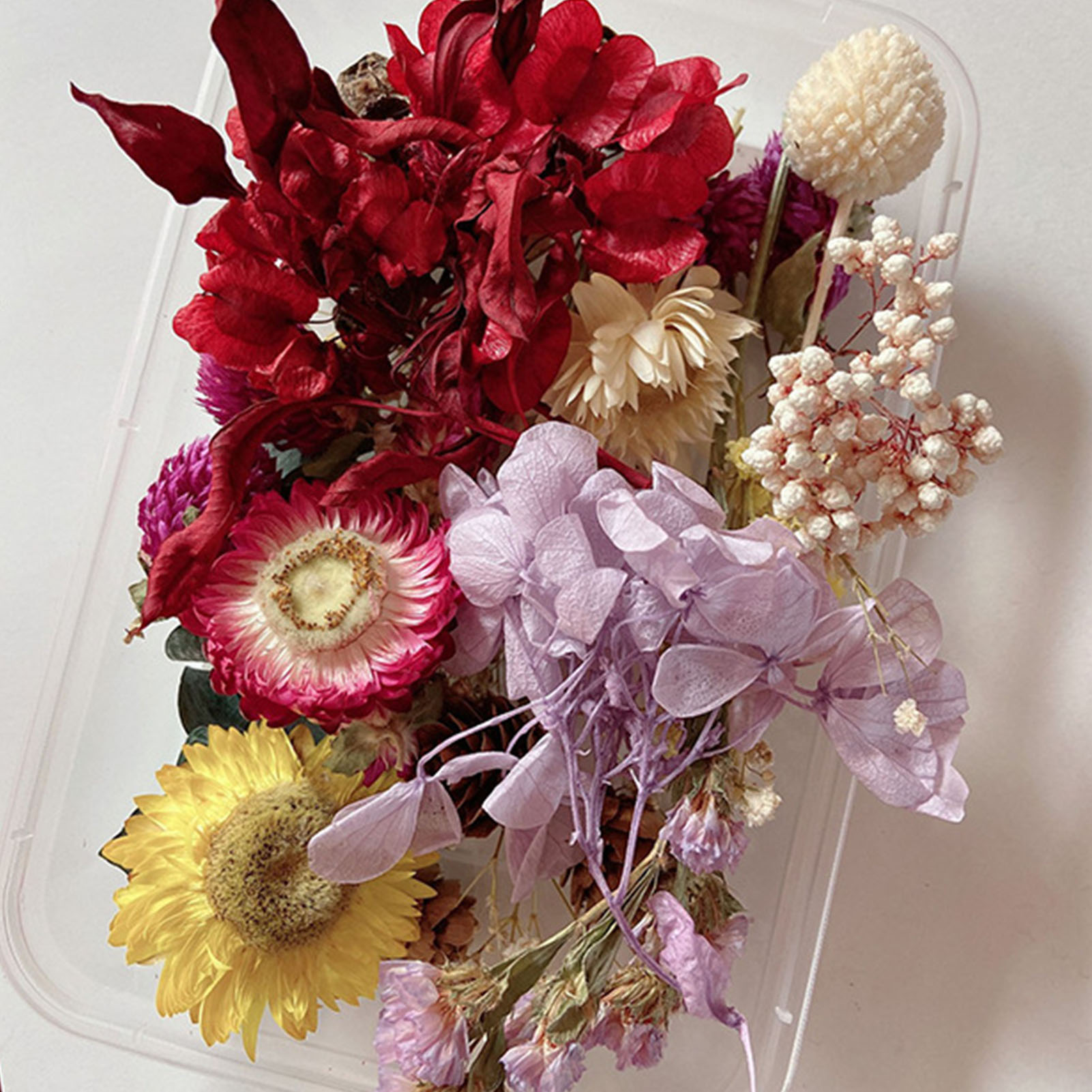 Natural Dried Flower Kit Press – обзор и цена Potpourri Dried Flower