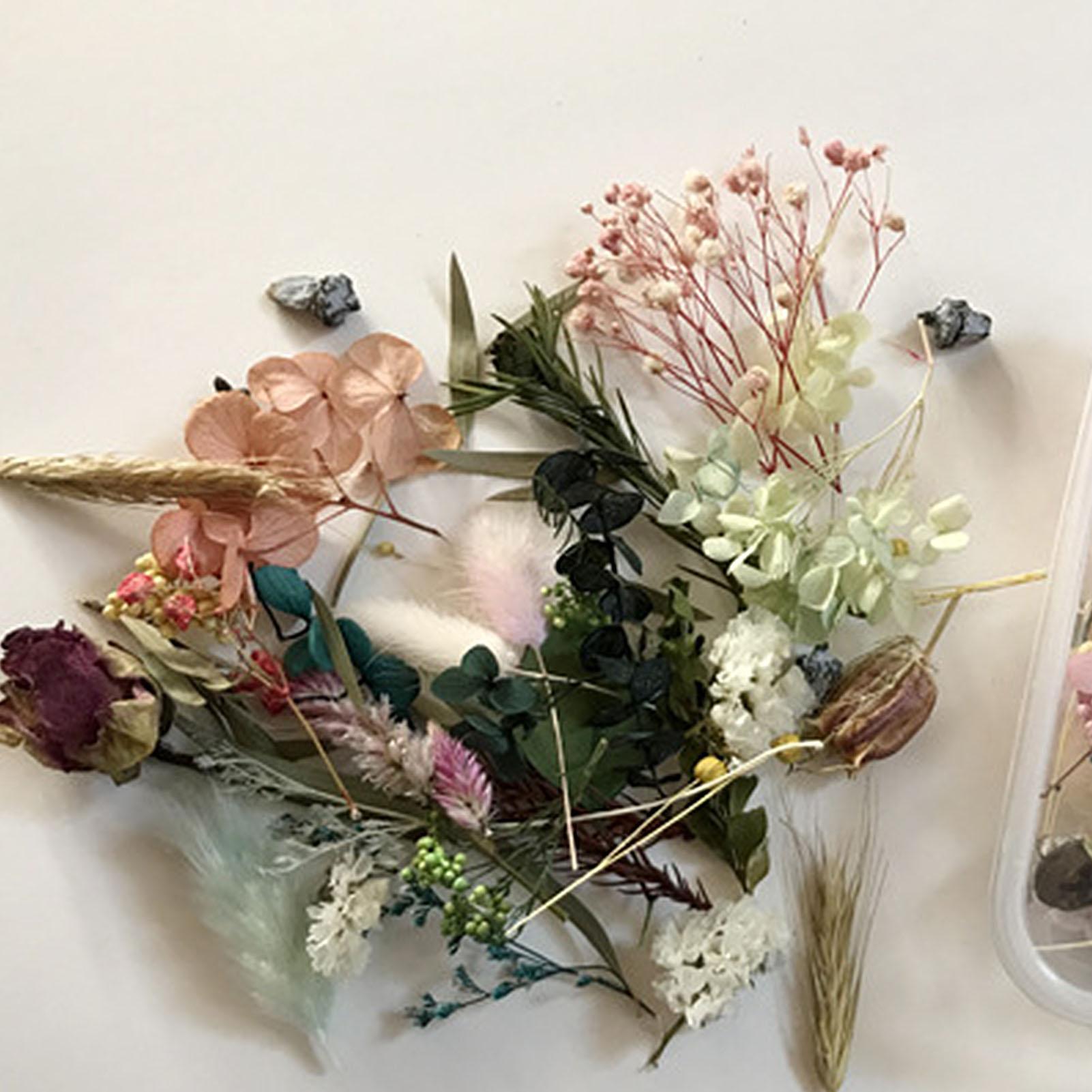 Natural Dried Flower Kit Press – обзор и цена Potpourri Dried Flower