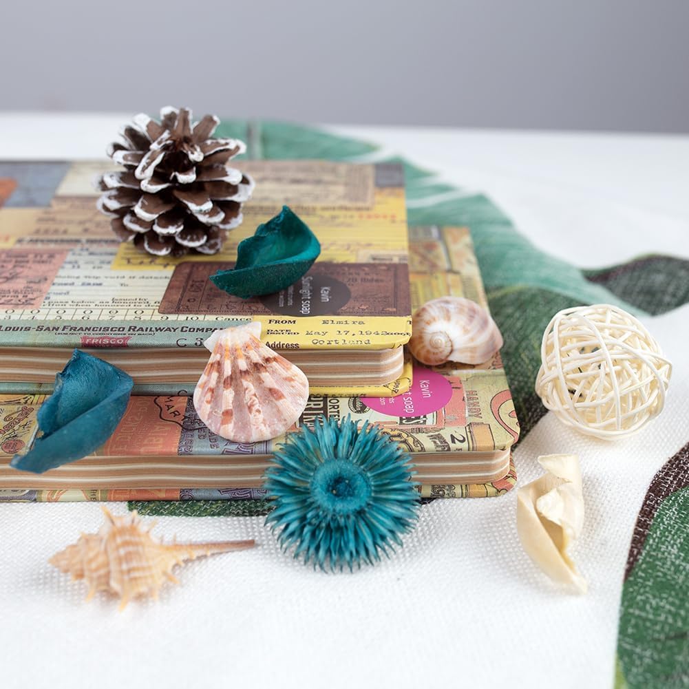 Ocean Breeze Scented Seashell  – обзор и цена Potpourri Dried Flower