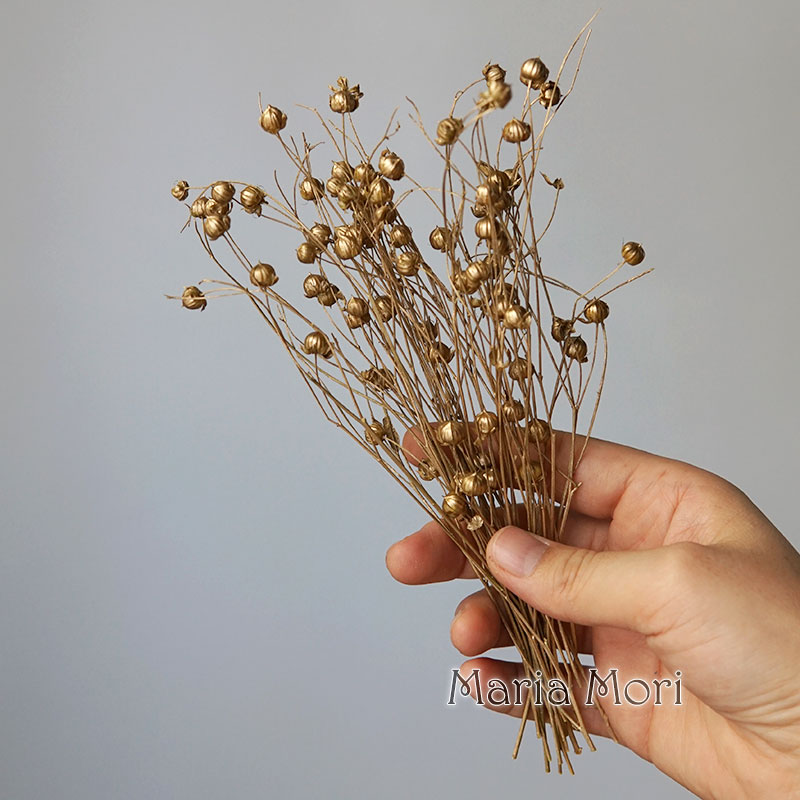 5g Preserved Flax Bean Natural – обзор и цена Potpourri Dried Flower