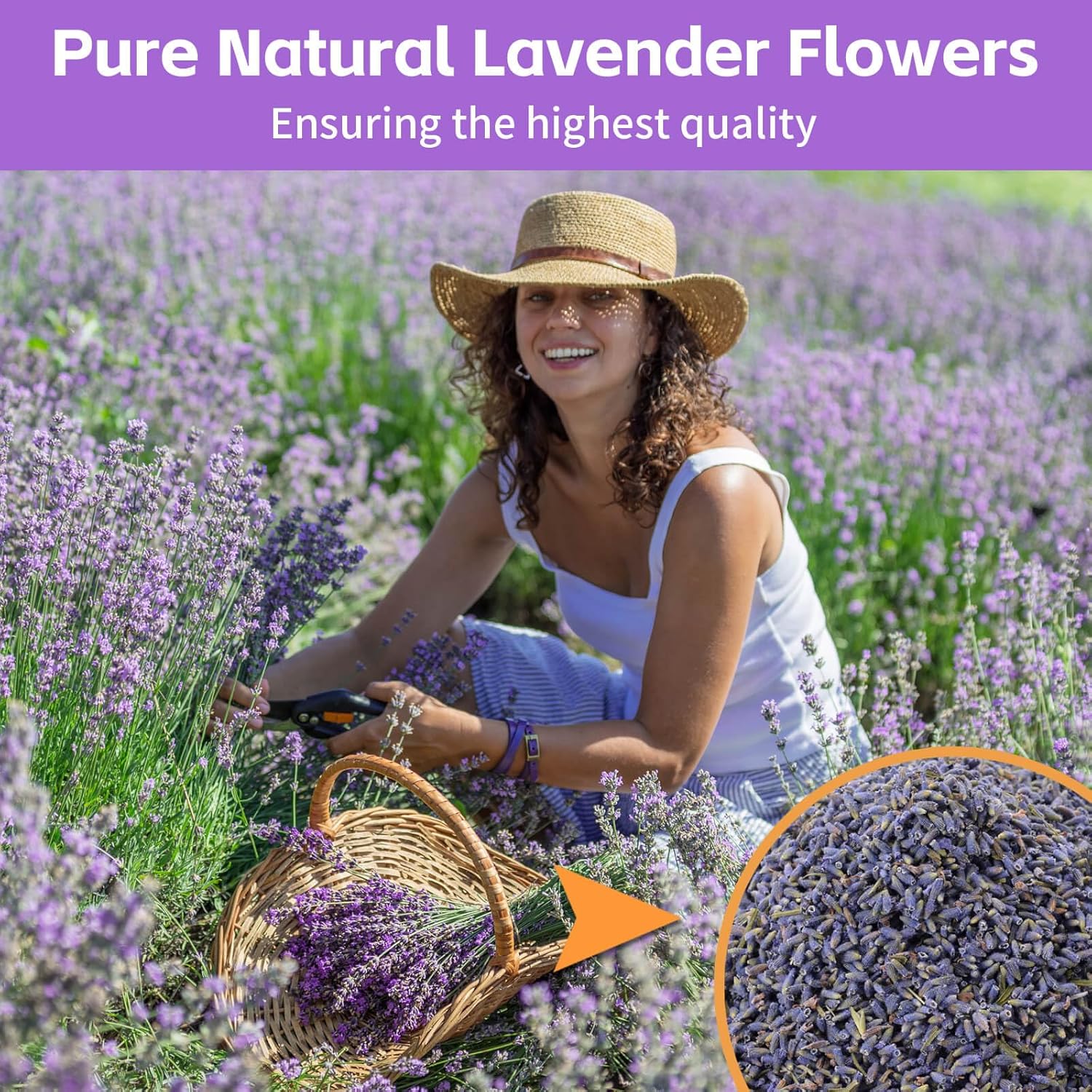 Dried Culinary Lavender Flower – обзор и цена Potpourri Dried Flower