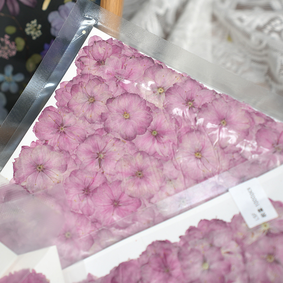 Spring Cherry Blossom Dried Fl – обзор и цена Potpourri Dried Flower