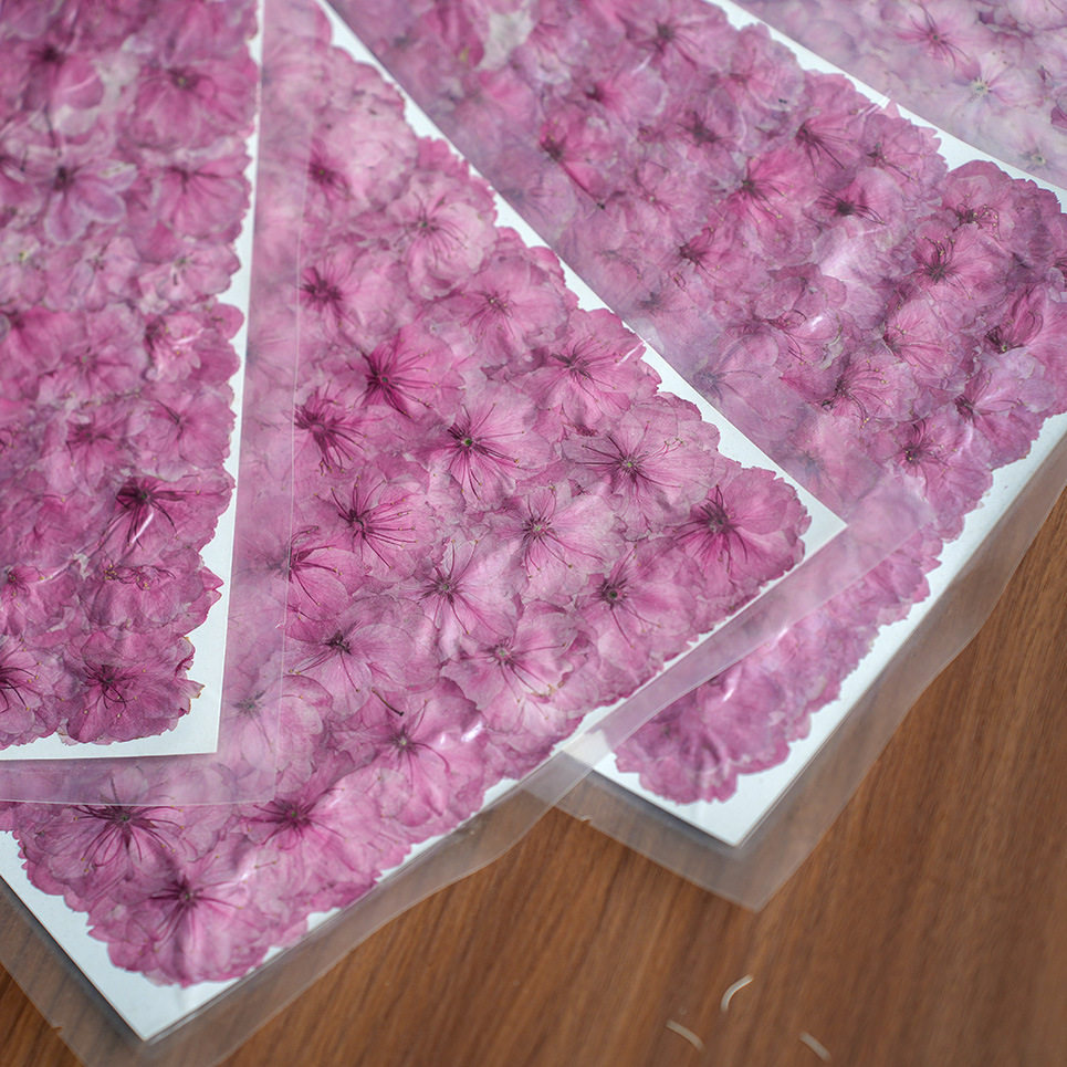 Spring Cherry Blossom Dried Fl – обзор и цена Potpourri Dried Flower